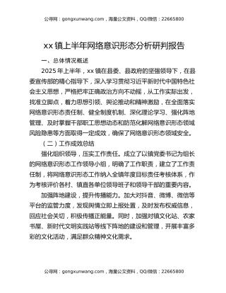 xx镇上半年网络意识形态分析研判报告
