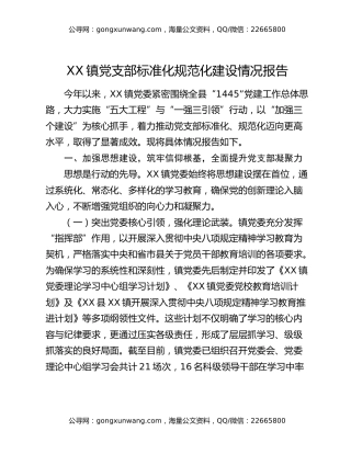 XX镇党支部标准化规范化建设情况报告