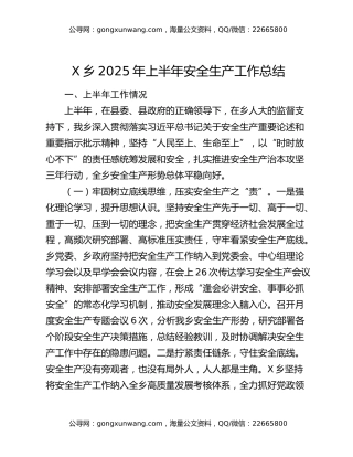 x乡2025年上半年安全生产工作总结