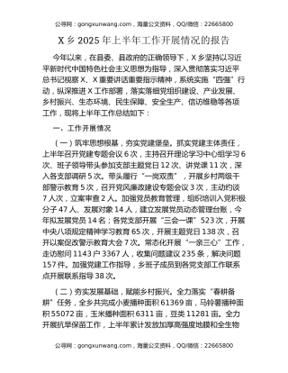 X乡2025年上半年工作开展情况的报告