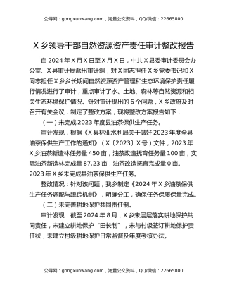 x乡领导干部自然资源资产责任审计整改报告