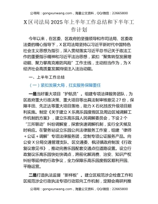 X区司法局2025年上半年工作总结和下半年工作计划