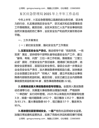 X区应急管理局2025年上半年工作总结