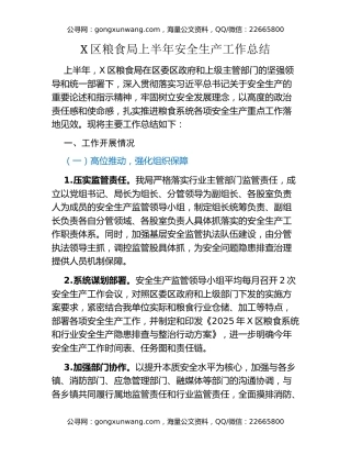 X区粮食局上半年安全生产工作总结