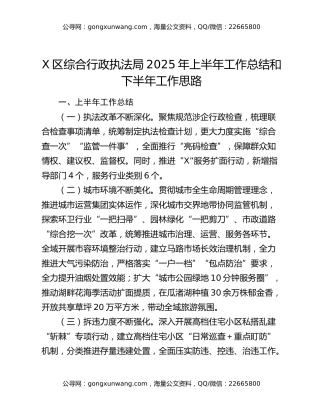 x区综合行政执法局2025年上半年工作总结和下半年工作思路