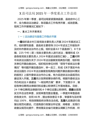 X县司法局2025年一季度重点工作总结