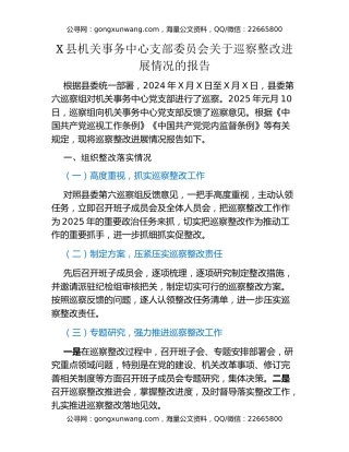 X县机关事务中心支部委员会关于巡察整改进展情况的报告