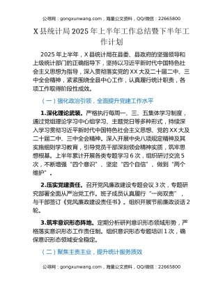 X县统计局2025年上半年工作总结暨下半年工作计划