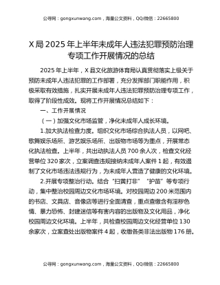 x局2025年上半年未成年人违法犯罪预防治理专项工作开展情况的总结