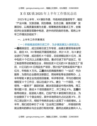 X市XX镇2025年上半年工作情况总结