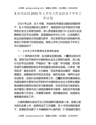 X市司法局2025年上半年工作总结及下半年工作计划