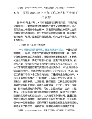 X市工商局2025年上半年工作总结和下半年工作安排