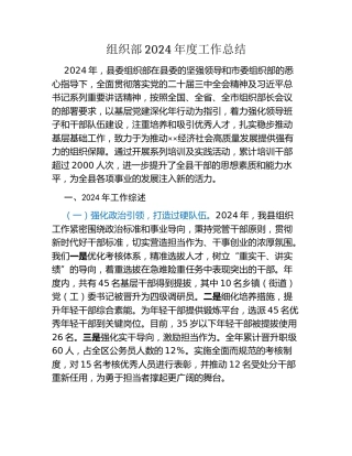 组织部2024年度工作总结（2）