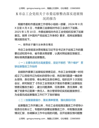 X市总工会党组关于市委巡察整改落实进展情况的报告