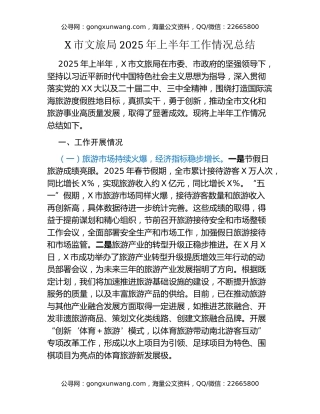 X市文旅局2025年上半年工作情况总结
