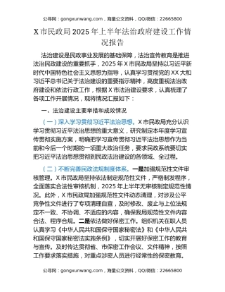 X市民政局2025年上半年法治政府建设工作情况报告