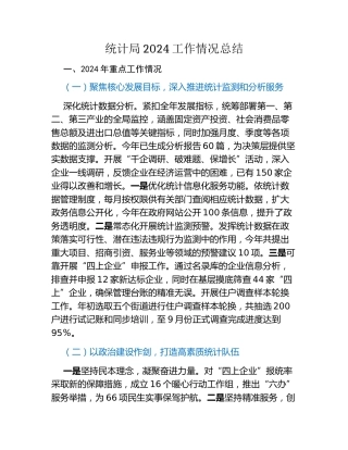 统计局2024工作情况总结