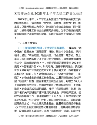 X市非公企业 2025 年上半年党建工作情况总结