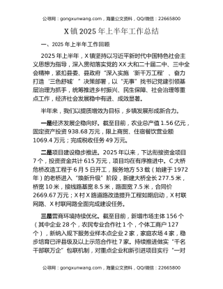 X镇2025年上半年工作总结