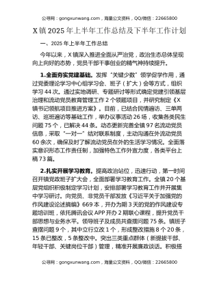X镇2025年上半年工作总结及下半年工作计划
