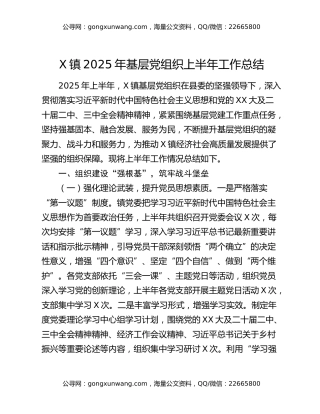 x镇2025年基层党组织上半年工作总结