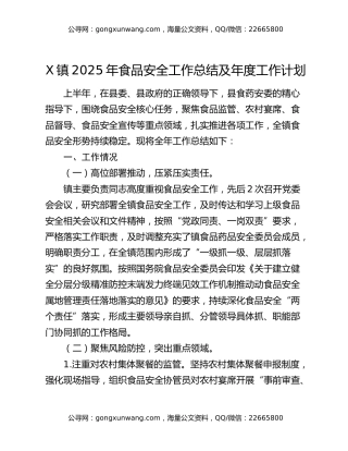 x镇2025年食品安全工作总结及年度工作计划