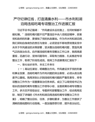 严守纪律红线，打造清廉水利——市水利和湖泊局违规吃喝专项整治工作进展汇报