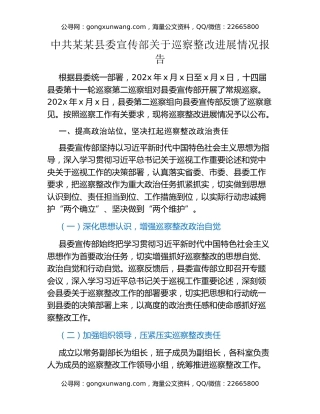 中共某某县委宣传部关于巡察整改进展情况报告