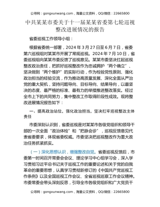 中共某某市委关于十一届某某省委第七轮巡视整改进展情况的报告