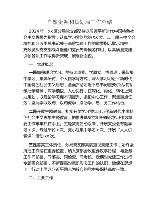 自然资源和规划局工作总结