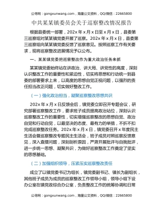 中共某某镇委员会关于巡察整改情况报告