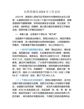 自然资源局2024年工作总结