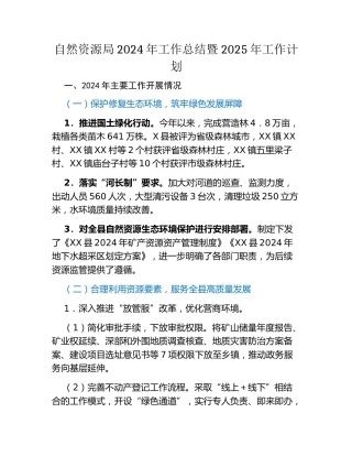 自然资源局2024年工作总结暨2025年工作计划