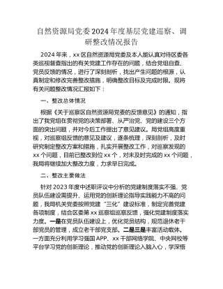 自然资源局党委2024年度基层党建巡察、调研整改情况报告