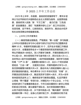 乡2025上半年工作总结