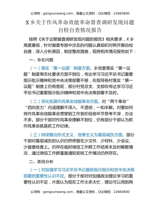乡关于作风革命效能革命督查调研发现问题自检自查情况报告