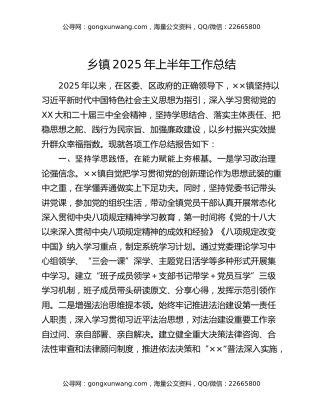 乡镇2025年上半年工作总结 (2)