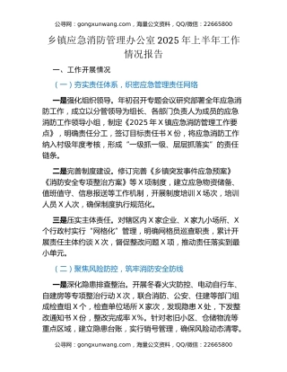 乡镇应急消防管理办公室2025年上半年工作情况报告 (2)