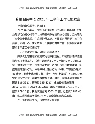 乡镇服务中心2025年上半年工作汇报发言