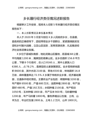 乡长履行经济责任情况述职报告