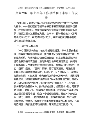 企业2025年上半年工作总结和下半年工作安排