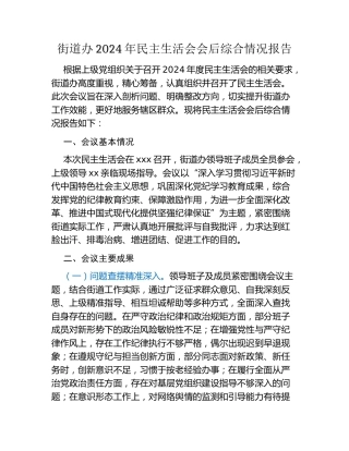 街道办2024年民主生活会会后综合情况报告
