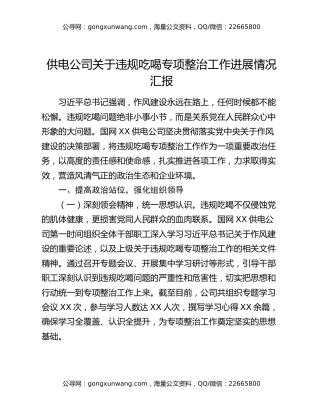 供电公司关于违规吃喝专项整治工作进展情况汇报