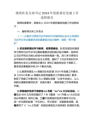 调查队党支部书记2024年度抓基层党建工作述职报告