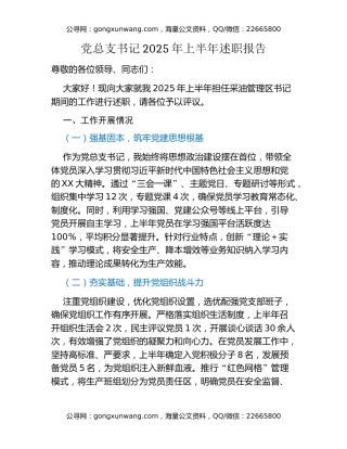 党总支书记 2025 年上半年述职报告
