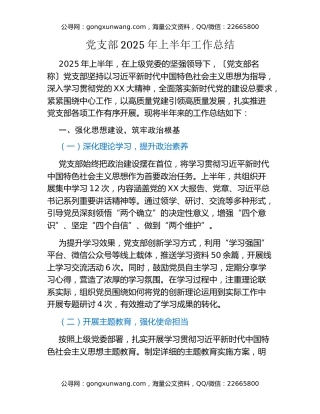 党支部 2025年上半年工作总结
