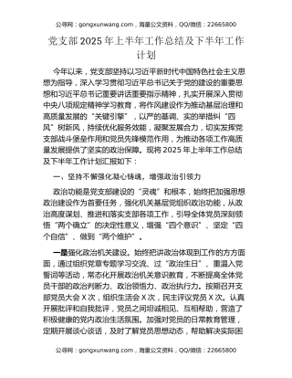 党支部2025年上半年工作总结及下半年工作计划