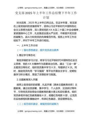 党支部2025年上半年工作总结暨下半年工作计划