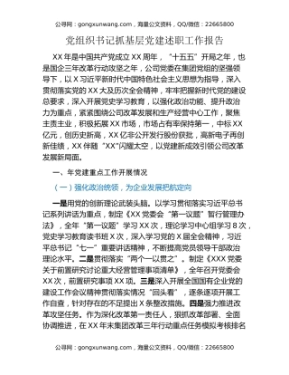 党组织书记抓基层党建述职工作报告