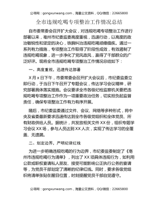 全市违规吃喝专项整治工作情况总结